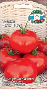 tomat-sambol-sedek