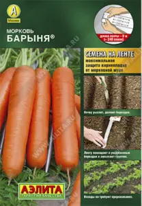 Морковь Барыня Аэлита Лента