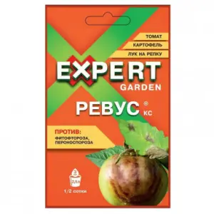 revus-expert-380x380