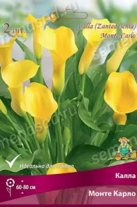 uznsb5wmjmoxxqugp11zxtjhgtilt8t8