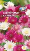 Ксерантемум Казачок (смесь цветов) (Евро, 0,2; 6169-21) СеДеК