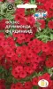 Флокс Друммонда Фердинанд (крупноцветковый,красный) (Евро, 0,2) СеДеК