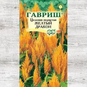 celoziya-peristaya-jeltyy-drakon_1