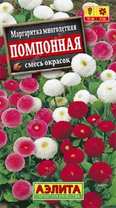 Маргаритка Помпонная, смесь окрасок Аэлита цп