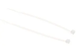 53950480