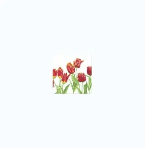 phpThumb_generated_thumbnail (1)