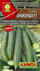 Огурец китайский Анаконда F1 (2023; 12.527.04)