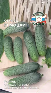 Огурец Моцарт  F1 (Евро, 8; 7569) СеДеК