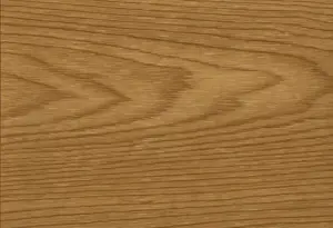 00213155