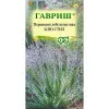 perovskiya-lebedolistnaya-blu-stil-500x500