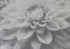 УА-00049512