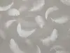 УА-00042351