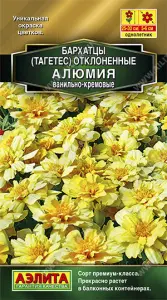 Бархатцы Алюмия ванильно-кремовая 10шт Аэлита