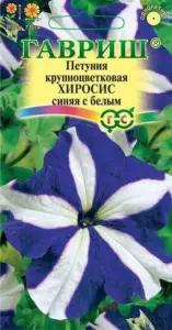 petuniya-hirosis-sinyaya-s-belym-krupnocvetkovaya-gavrish