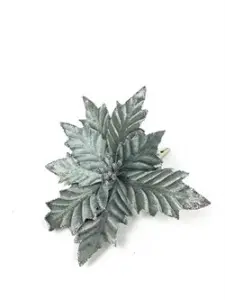 27316_middle