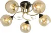 10689_5-BK_FGD-1