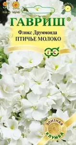 Флокс друммонда Птичье молоко 8шт ГШцветы