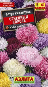 Астра Огненный король, смесь окрасок (2021; 50.347.08) Аэлита цп