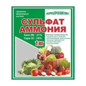 col1hvlghv1bngwentmoh05xmggljb2b (1)
