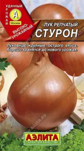 Лук репчатый Стурон (2023; 10.127.04)