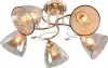 10564_5-FGD