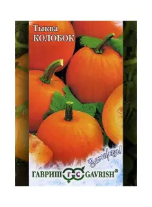 tykva-kolobok