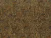 888a57131306425929b7ec5733247812