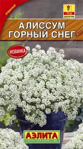 Алиссум Горный снег Аэлита ЦП