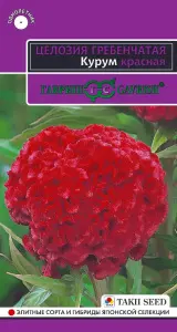 Целозия Курум красная гребенчатая  10шт10