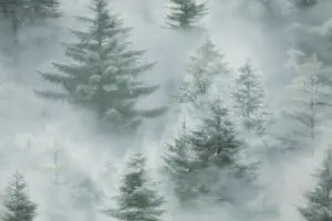 УА-00046777