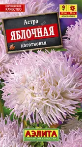 Астра Яблочная Аэлита цп