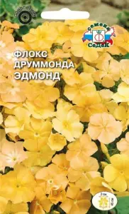 Флокс Друммонда Эдмонд (крупноцветковый,кремово-желтый) (Евро, 0,2) СеДеК