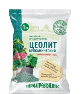 Снимок экрана 2026-01-23 134256