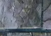 00150138