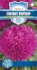 Астра Гигант пурпур Русский богатырь 0,1гр  10