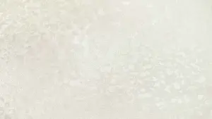 УА-00028579
