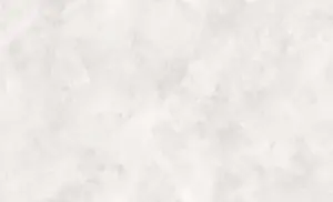 УА-00055729