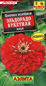 597414b6_73e9_11ee_811e_0cc47adb9c64_e91895e3_b399_11ee_8120_0cc47adb9c64