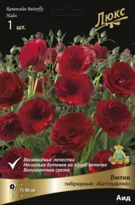 lutik_batterfl_aid_kaper