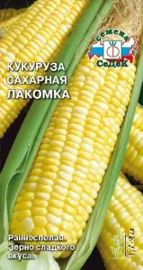 kukuruza_lakomka.jpg