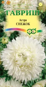 astra-snezhok-odnoletnyaya-gavrish