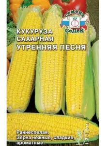 7343729205