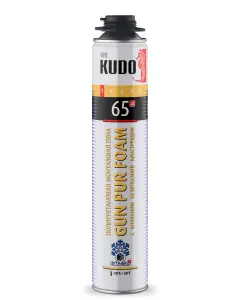 KUPT10W65