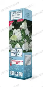 gorten_metel_grandiflora_3d