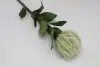 Цветок искусственный Леукоспермум белый  58 см.