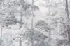 УА-00053987