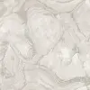УА-00033229