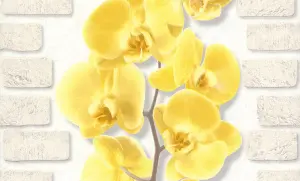 Обои виниловые Палитра Орхидея сер.-желт. цветок 0,5310м (12)10107-23^^