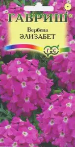 Вербена Элизабет 0,02-0,05 г ГШцветы