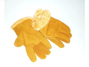 g85jac2u0ovj9xdyvwdsd97c74c49uoy